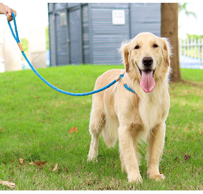 Pet anti-collision leash