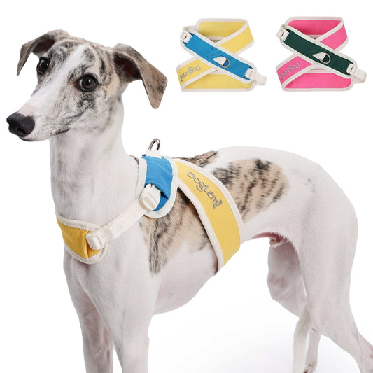 Slim grey and white dog wearing a yellow and blue adjustable dog harness with traction leash, alongside rose red and dark green harnesses displayed above.