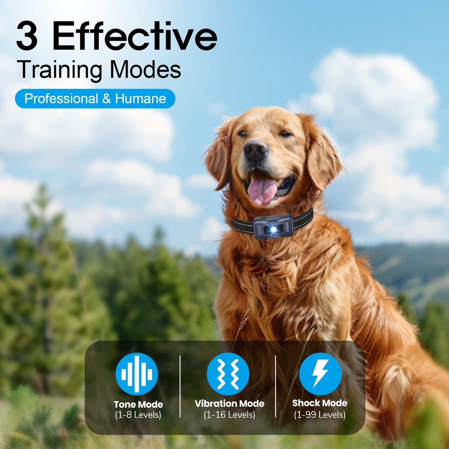 Dog wearing waterproof dog vibration collar with remote for training, suitable for small to large dogs, offering tone, vibration, and shock modes