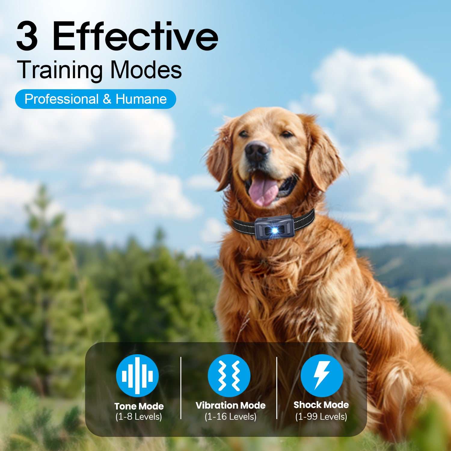 Dog wearing waterproof dog vibration collar with remote for training, suitable for small to large dogs, offering tone, vibration, and shock modes
