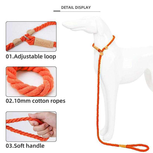 Orange no-pull dog harness and leash set with adjustable loop and soft cotton rope handle