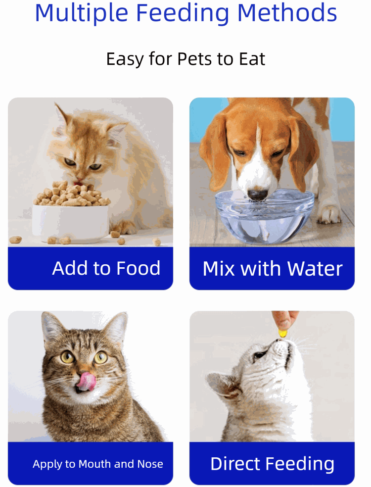Natural pet fish oil capsules for dogs and cats with multiple feeding methods including food, water, direct feeding, and application to mouth and nose, odorless Nordic natural fish oil for dogs.