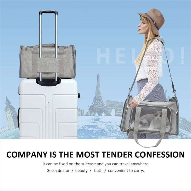 Pet Backpack Transport Box carried by woman, shown attached to suitcase and used as shoulder bag with dog inside