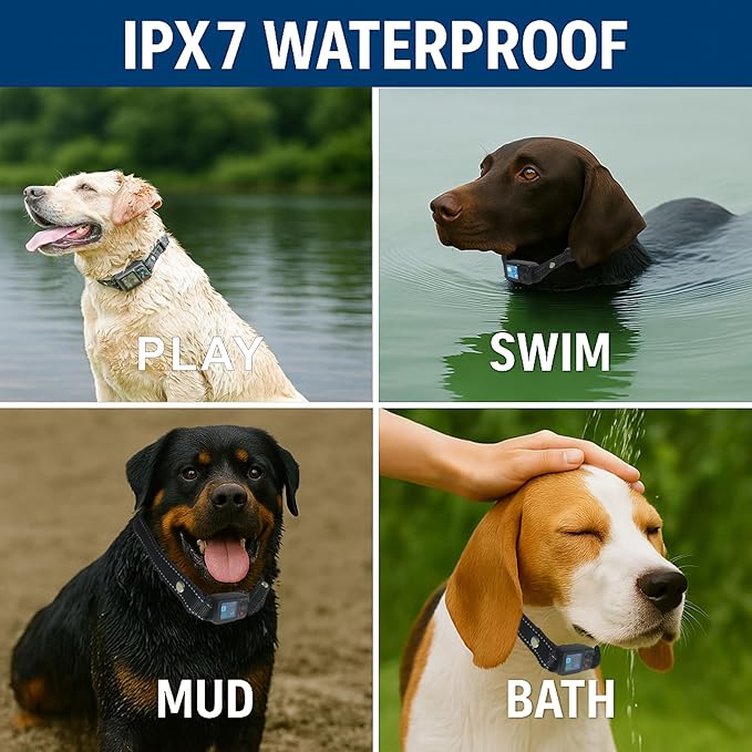 Wireless GPS Dog Fence