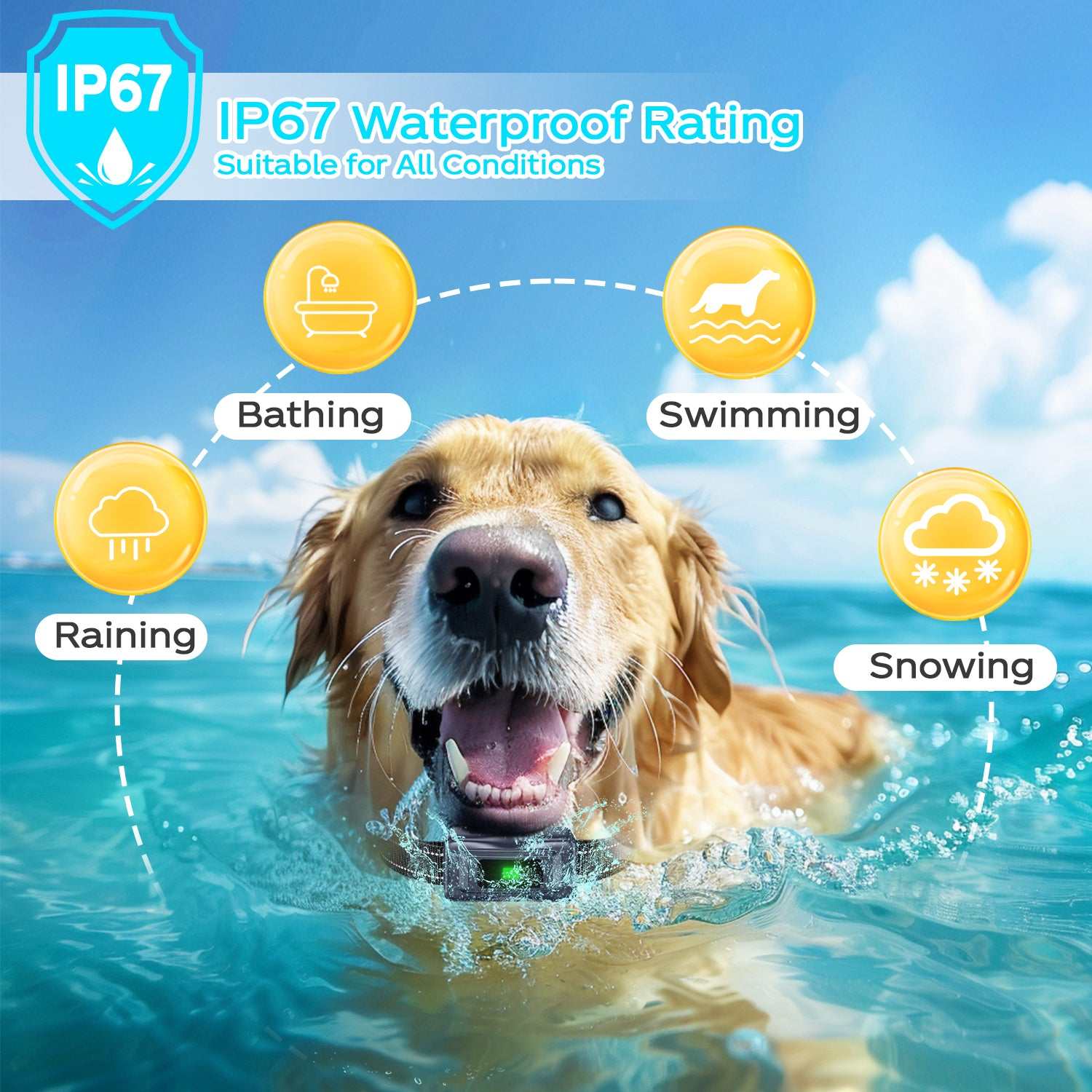 Dog wearing waterproof IP67 rated vibration collar swimming in water for training