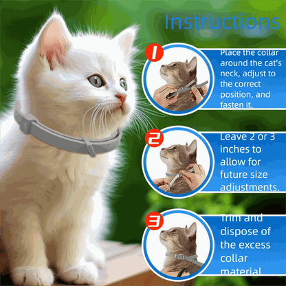Kitten wearing adjustable anti-flea collar with step-by-step fitting instructions for cats and dogs over 18 lbs