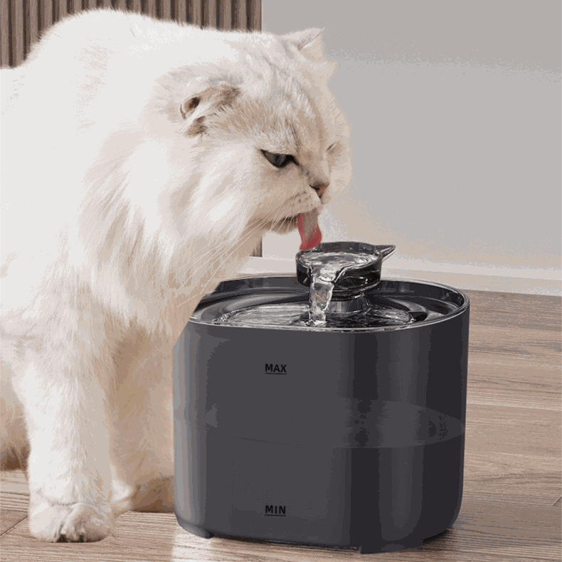 White cat drinking from a black wireless cat water dispenser with flowing water on wooden floor