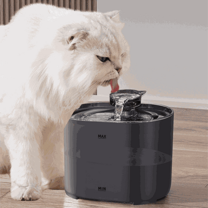 White cat drinking from a black wireless cat water dispenser with flowing water on wooden floor
