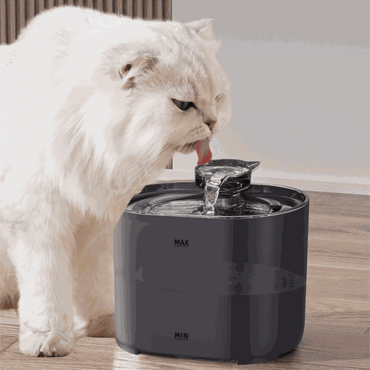 White cat drinking from a black wireless cat water dispenser with flowing water on wooden floor