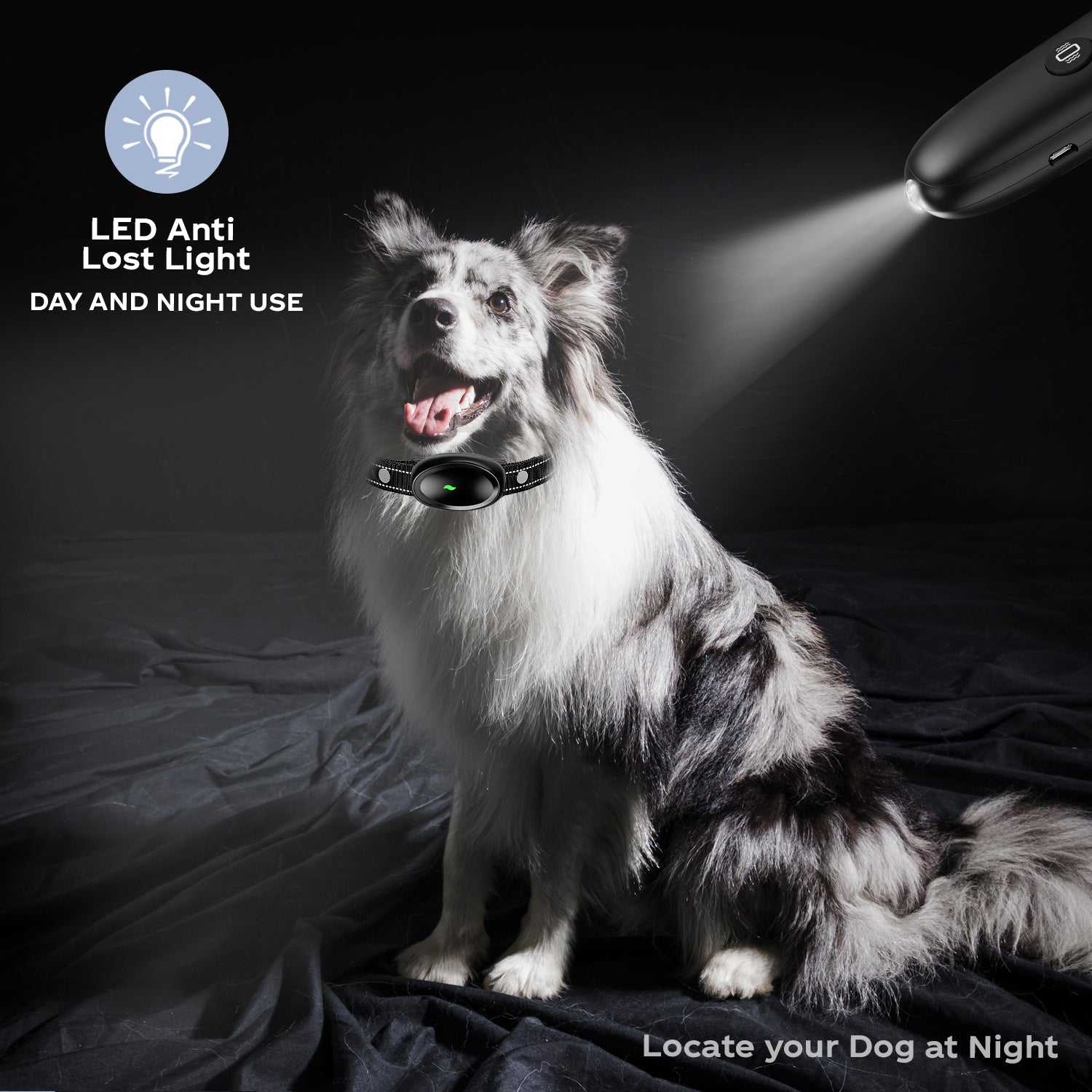 Dog wearing waterproof LED dog training collar with remote control and 1600ft range at night