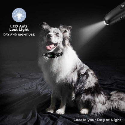 Dog wearing waterproof LED dog training collar with remote control and 1600ft range at night