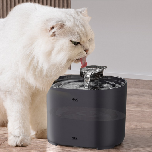 Pet automatic drinking fountain