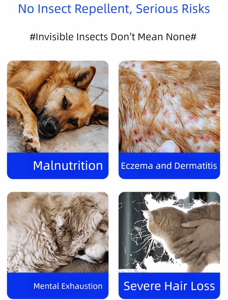 Pet deworming tablets for cats and dogs to eliminate intestinal parasites and promote digestive health
