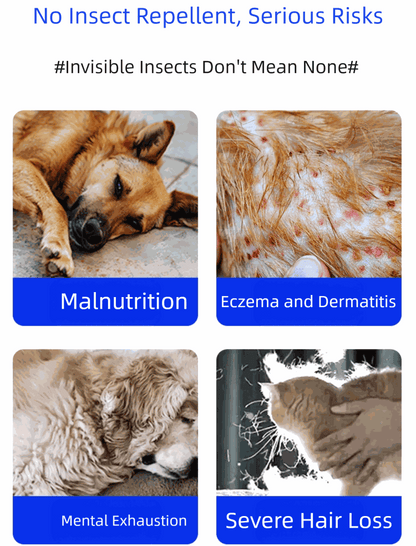 Pet deworming tablets for cats and dogs to eliminate intestinal parasites and promote digestive health