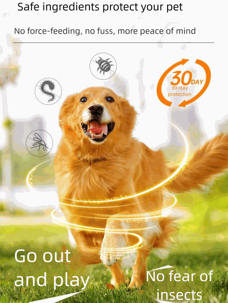Golden retriever dog playing outdoors protected by pet deworming tablets with 30-day insect and parasite defense
