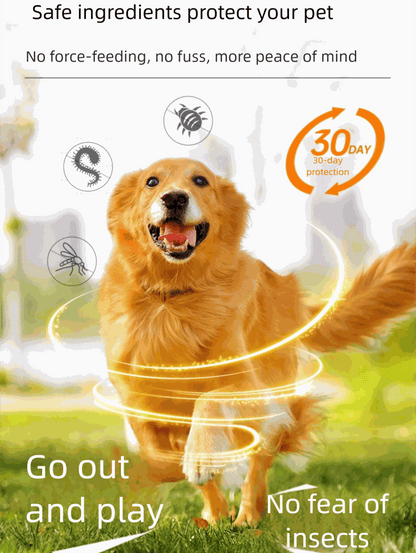 Golden retriever dog playing outdoors protected by pet deworming tablets with 30-day insect and parasite defense