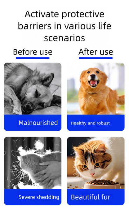 Pet cat and dog deworming meat tablets