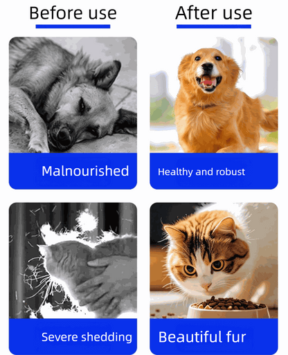 Pet deworming tablets showing before and after effects with healthier dog and cat with shiny fur