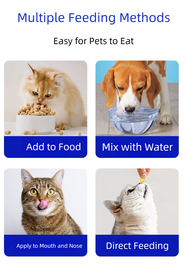 Pet deep-sea fish oil