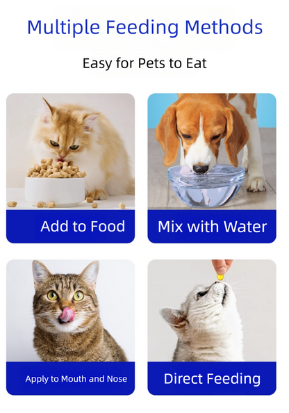 Pet deep-sea fish oil