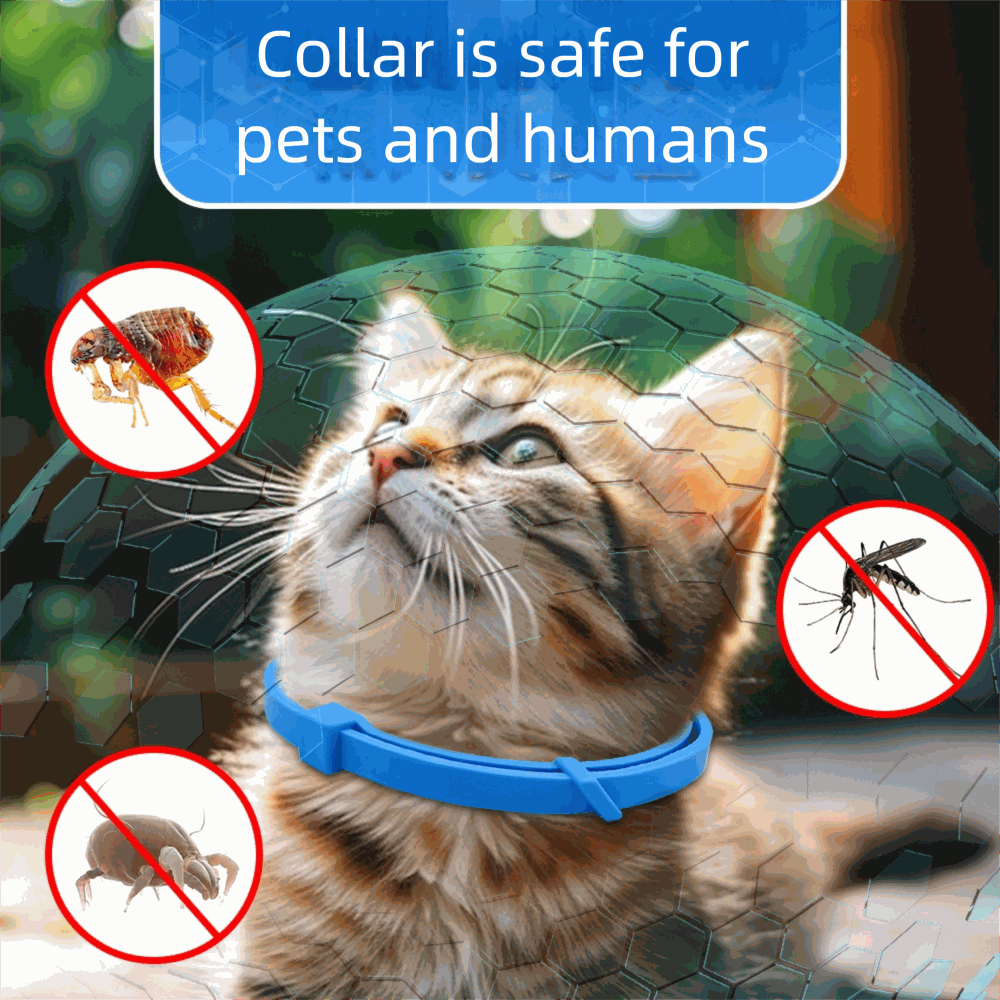 Cat wearing blue flea and tick collar with pest protection icons and safe for pets and humans text