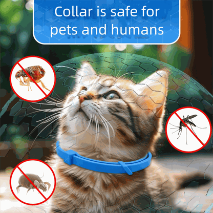 Cat wearing blue flea and tick collar with pest protection icons and safe for pets and humans text