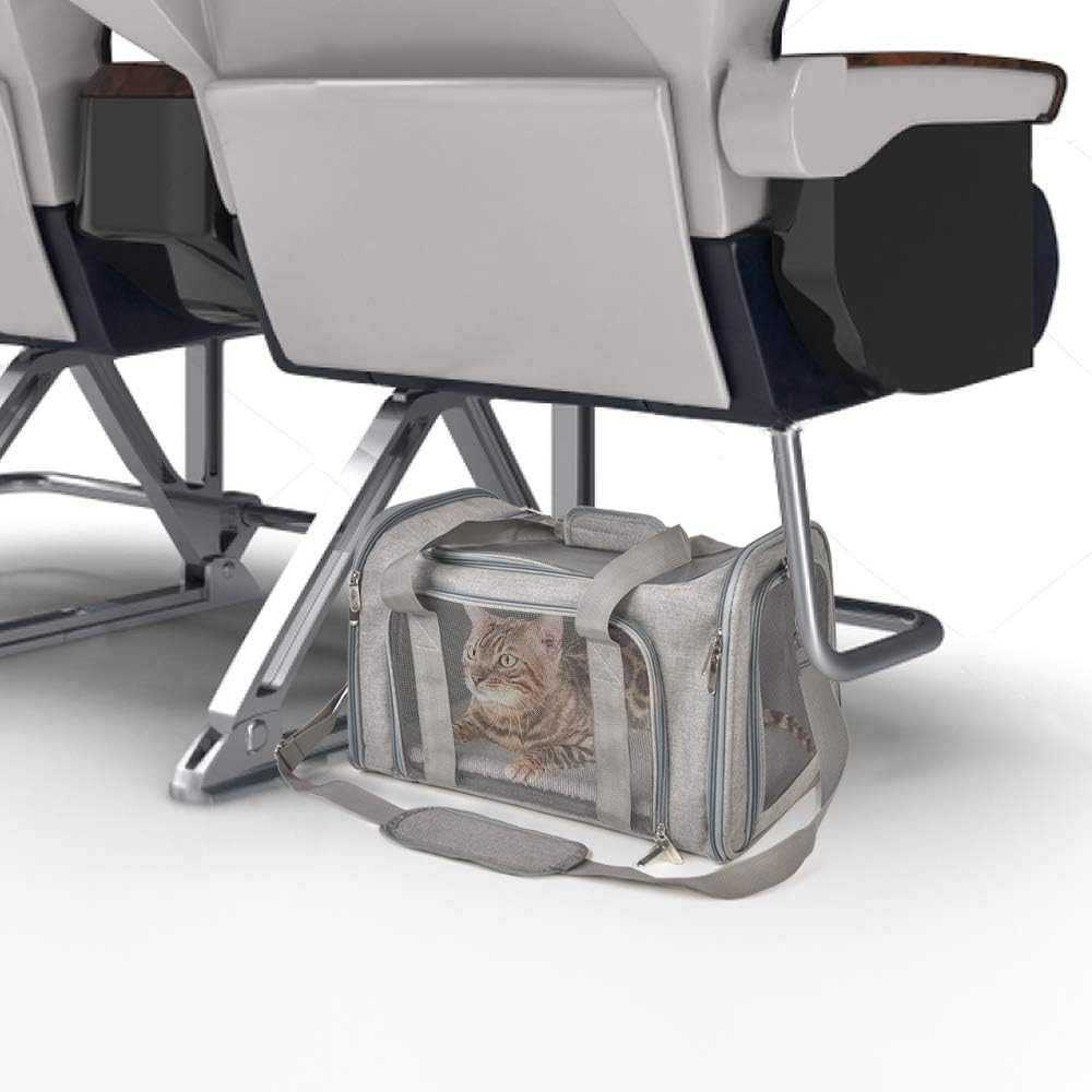 TSA approved Pet Backpack Transport Box with breathable mesh and durable design under airplane seat with a cat inside